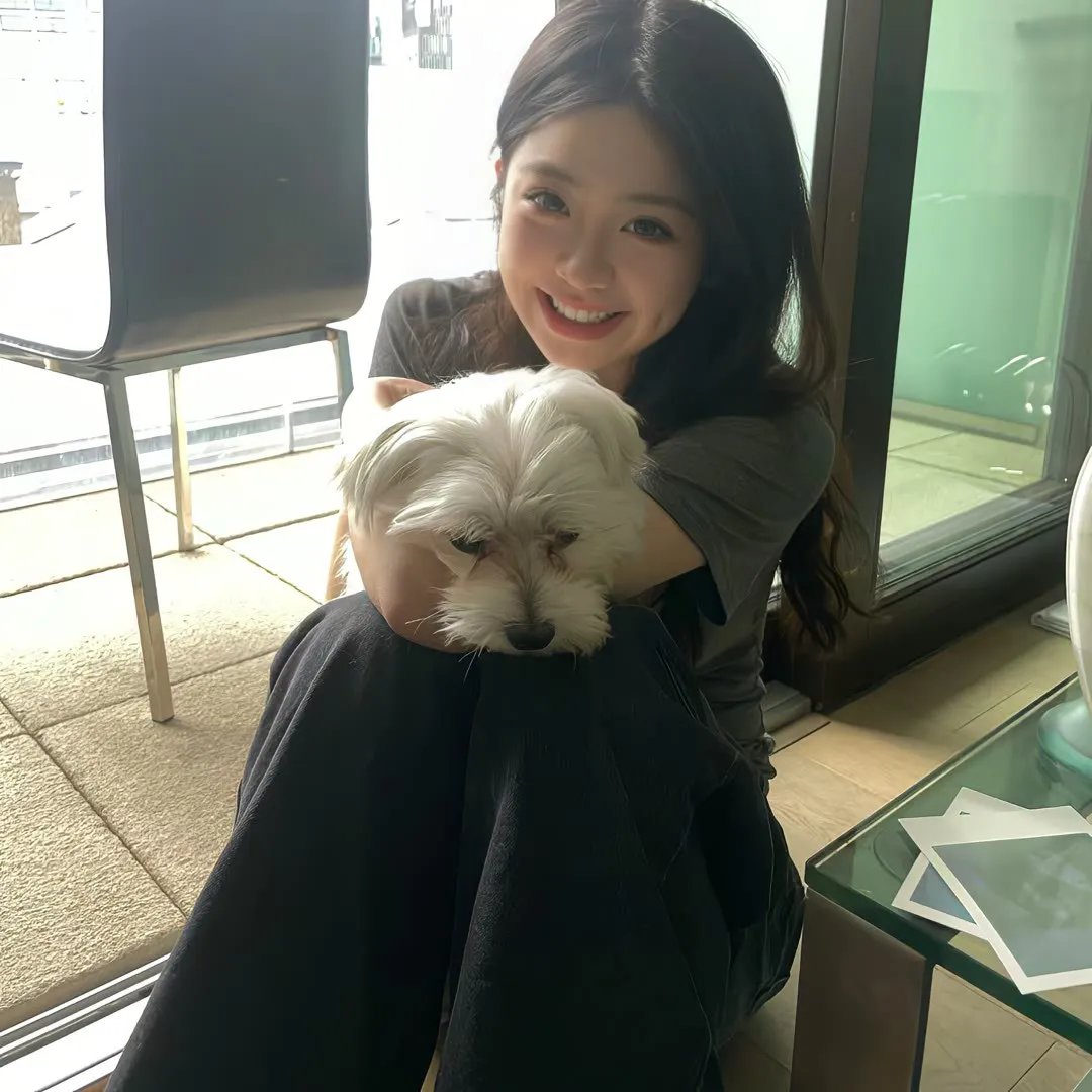 反对夫人哈德利之战