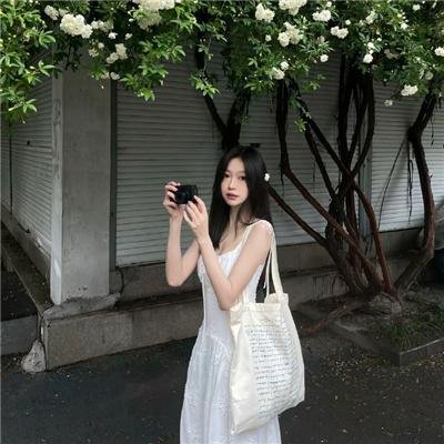 猪太狼的夏天