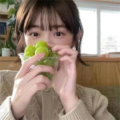 羔羊医生